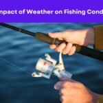 The Impact of Weather on Fishing Conditions